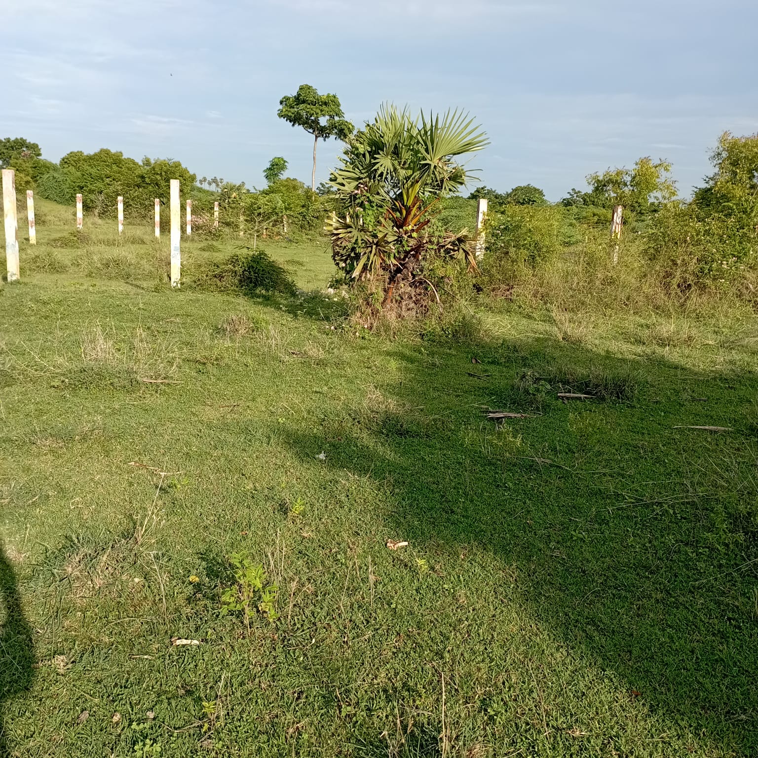 Wanted Vacant Plots from ECR OMR or in Ambattur, Tambaram area